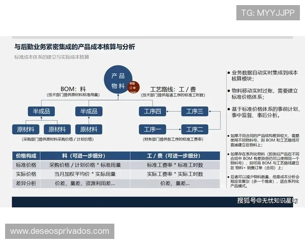 完美正规官网成为行业标杆,推动企业数字化转型迈向新高度 完美正规官网成为行业标杆,推动企业数字化转型迈向新高度